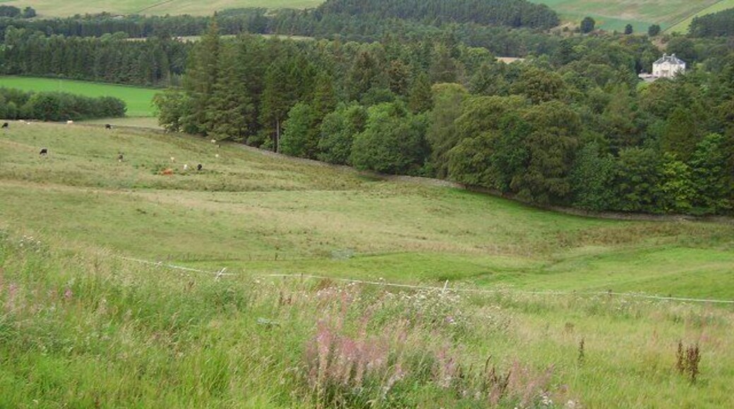 Grazing land, Tweeddale. View down towards the river from Caverhill, Peeblesshire. The white tape is electric fencing of a type normally used with horses.