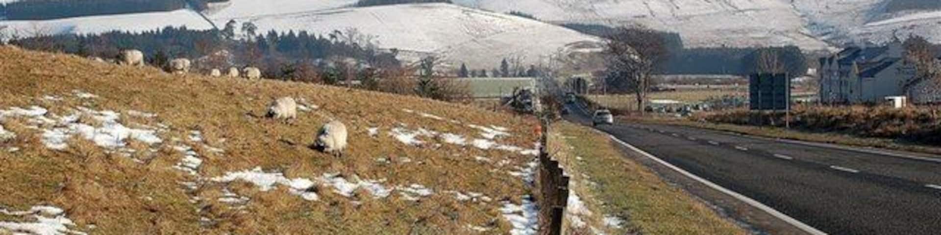 Towards Cardrona Looking along the A72 towards Cardrona on a fine February morning. The Cardrona Hotel is on the right, with snow-covered Lee Burn Head providing a spectacular background for this shot.