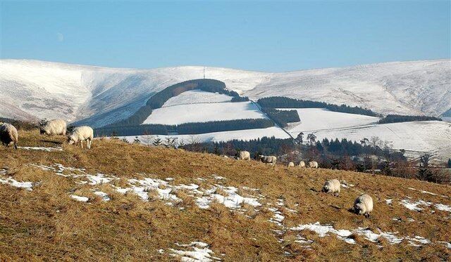 Towards Mill Rig Looking across grazing land towards snow-covered Mill Rig in the background. Snow always seems to make these Border hills look bigger and nearer than they actually are.