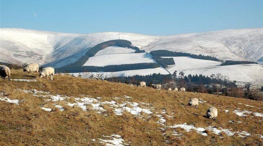 Towards Mill Rig Looking across grazing land towards snow-covered Mill Rig in the background. Snow always seems to make these Border hills look bigger and nearer than they actually are.