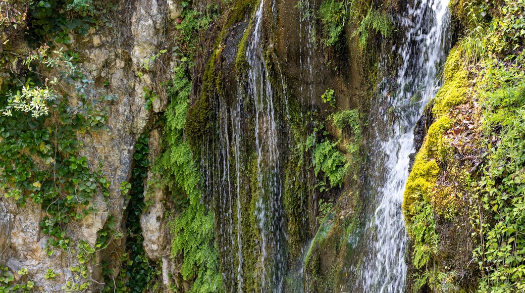 A waterfall cascading down a moss-covered rock face.