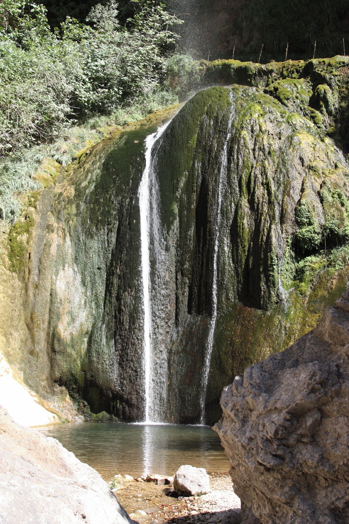 A waterfall cascading down a moss-covered rock face into a calm pool, surrounded by dense greenery.