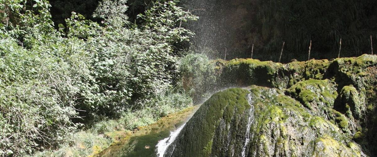 A waterfall cascading down a moss-covered rock face into a calm pool, surrounded by dense greenery.