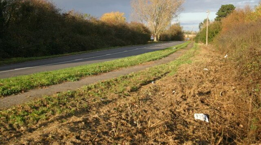 Road out from Needingworth Road out from Needingworth to the A1123