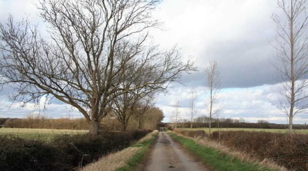 Track from Priory Farm to Cottage Farm This runs roughly parallel to the dismantled railway track.