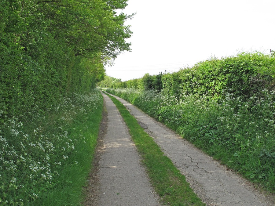 Track to Larks in the Wood, Pentlow