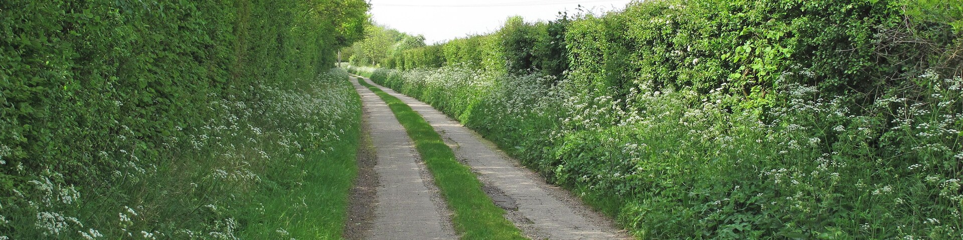 Track to Larks in the Wood, Pentlow