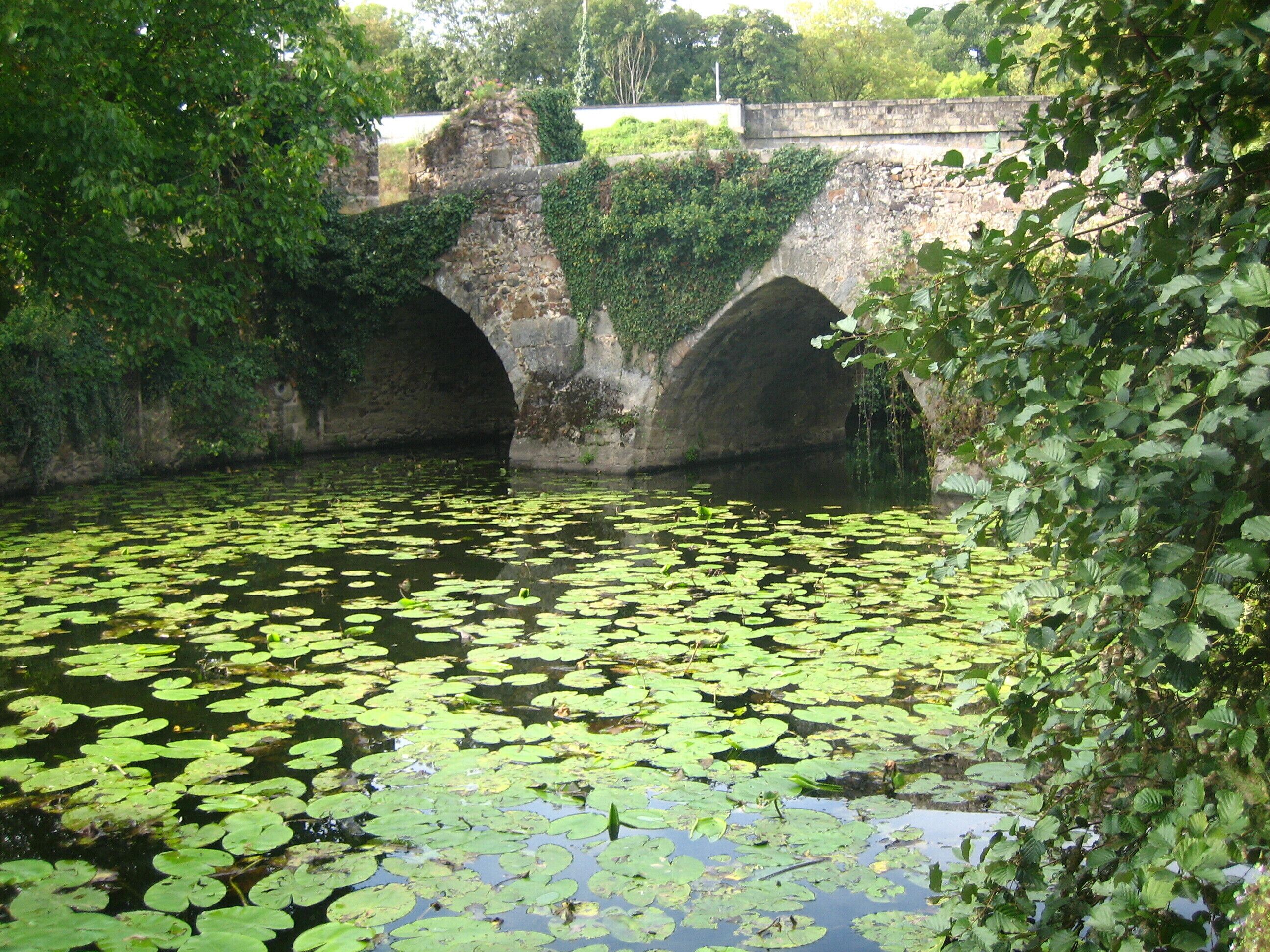 A stone bridge over a pond with lily pads.