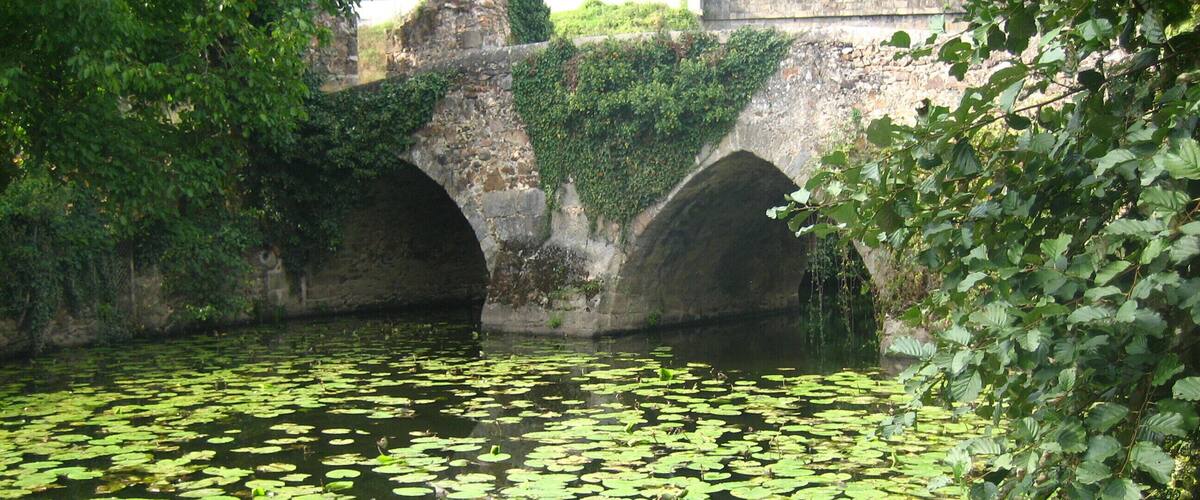 A stone bridge over a pond with lily pads.