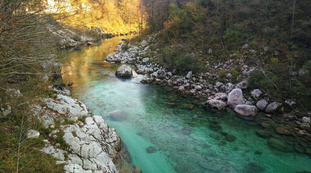 There's so much more to Slovenia than just visiting the famous Lake Bled. This is in fact one of the most beautiful river I've ever seen. The water was so clear. It didn't rain for days during my visit hence the low water level. If it had rained, i'm sure it's even more picturesque.