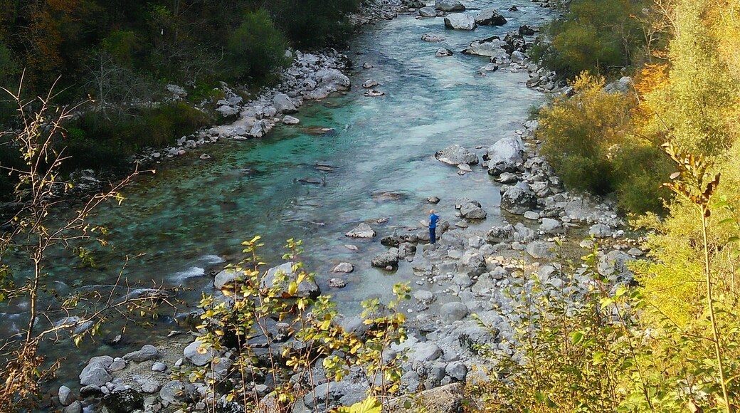 The emerald green and crystal clear Soča river that flows through western Slovenia in autumn 🍂🍂
#GreatOutdoors