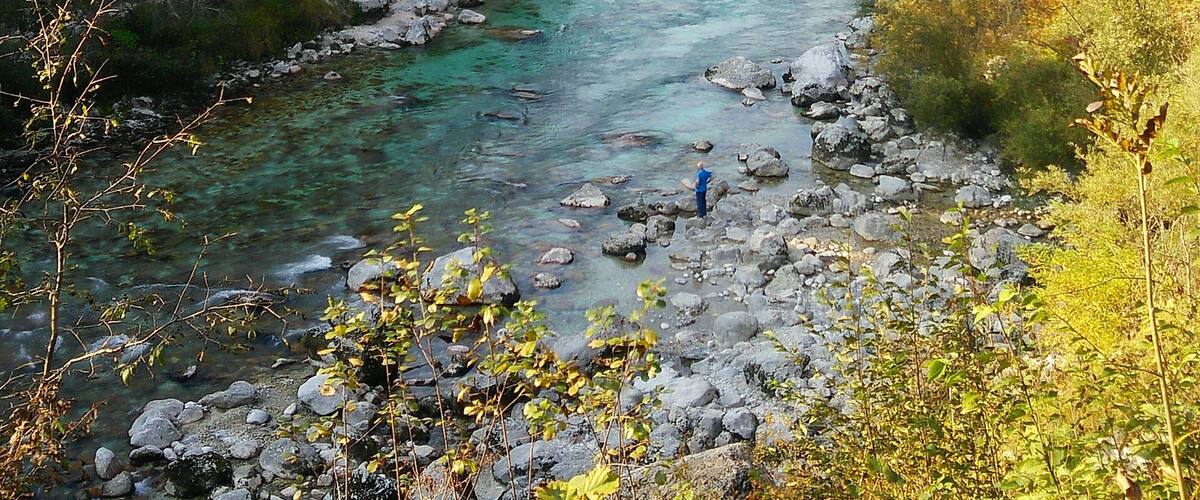 A river flowing through a forested valley with rocky banks and mountains in the background.