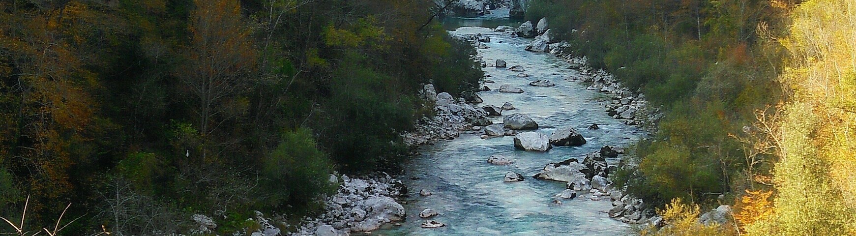 A river flowing through a forested valley with rocky banks and mountains in the background.