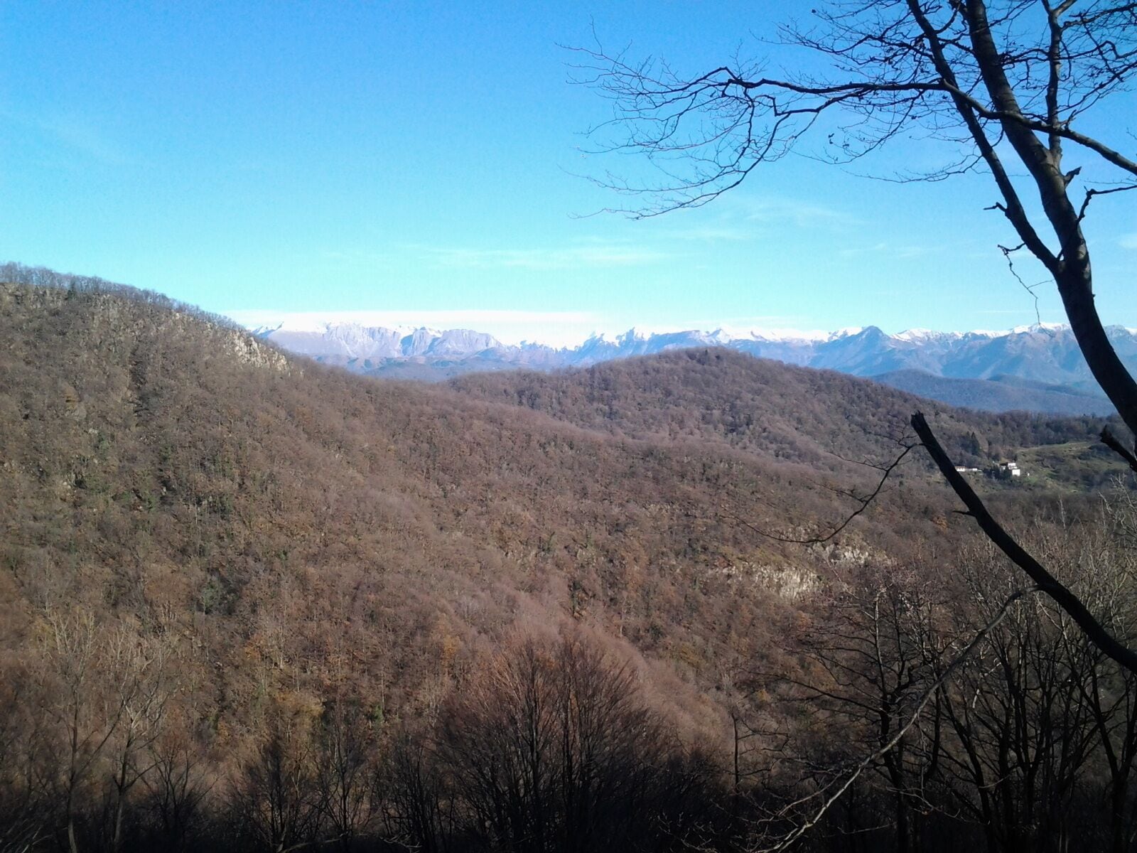 Un paisaje montañoso con bosques densos y cumbres nevadas a lo lejos.