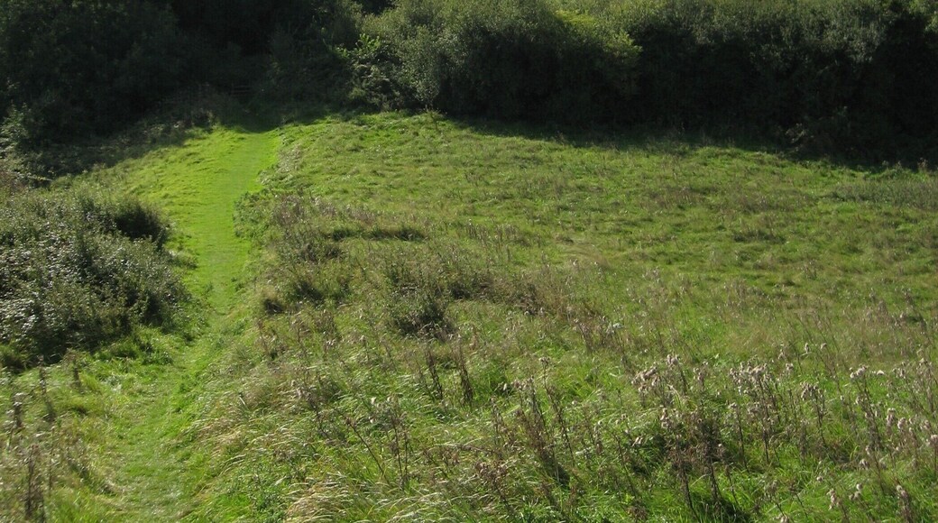 Path to Brent Knoll.