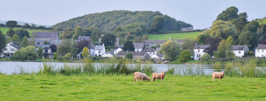 Un paisaje rural con un lago, una colina con árboles y casas blancas.