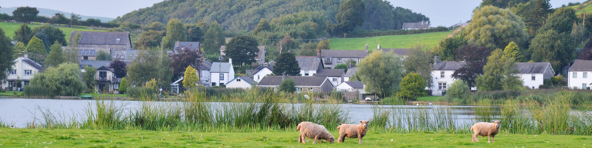 Un paisaje rural con un lago, una colina con árboles y casas blancas.