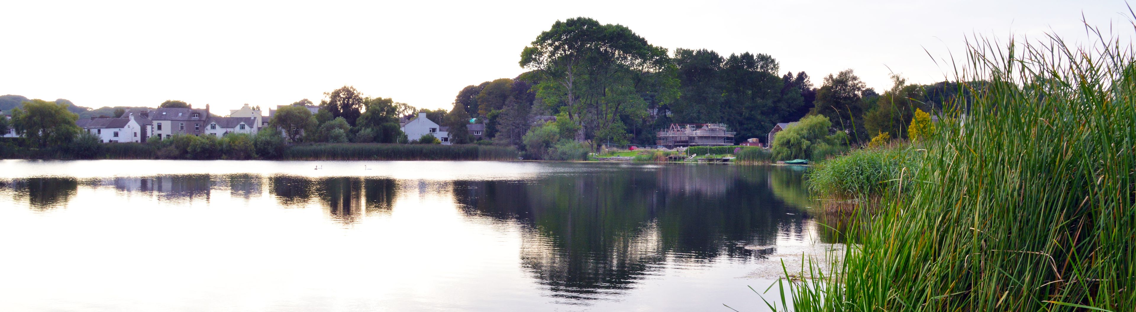 A calm lake with reflections of trees and houses, surrounded by greenery and a clear sky.