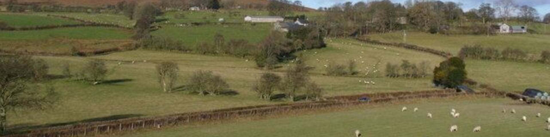 A rural landscape with rolling hills, a fenced field with grazing sheep, and scattered trees.