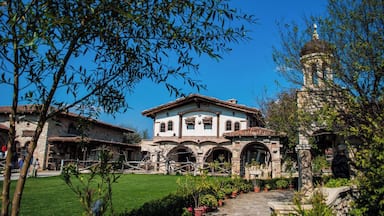 Amazing place for the whole family and animal lovers!