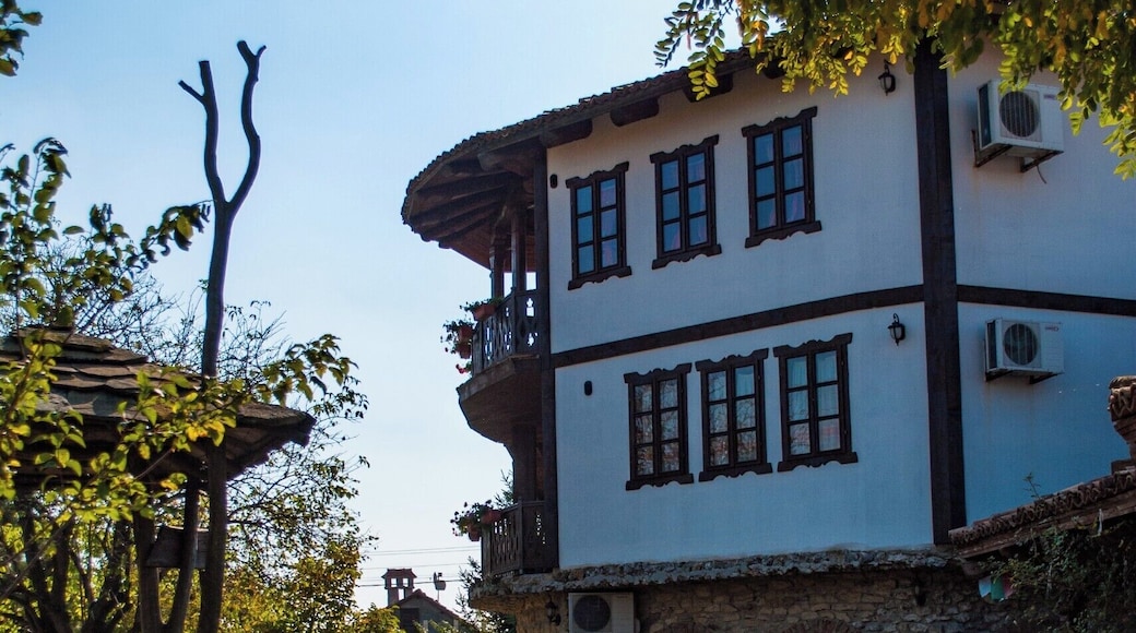 Amazing place for the whole family and animal lovers!