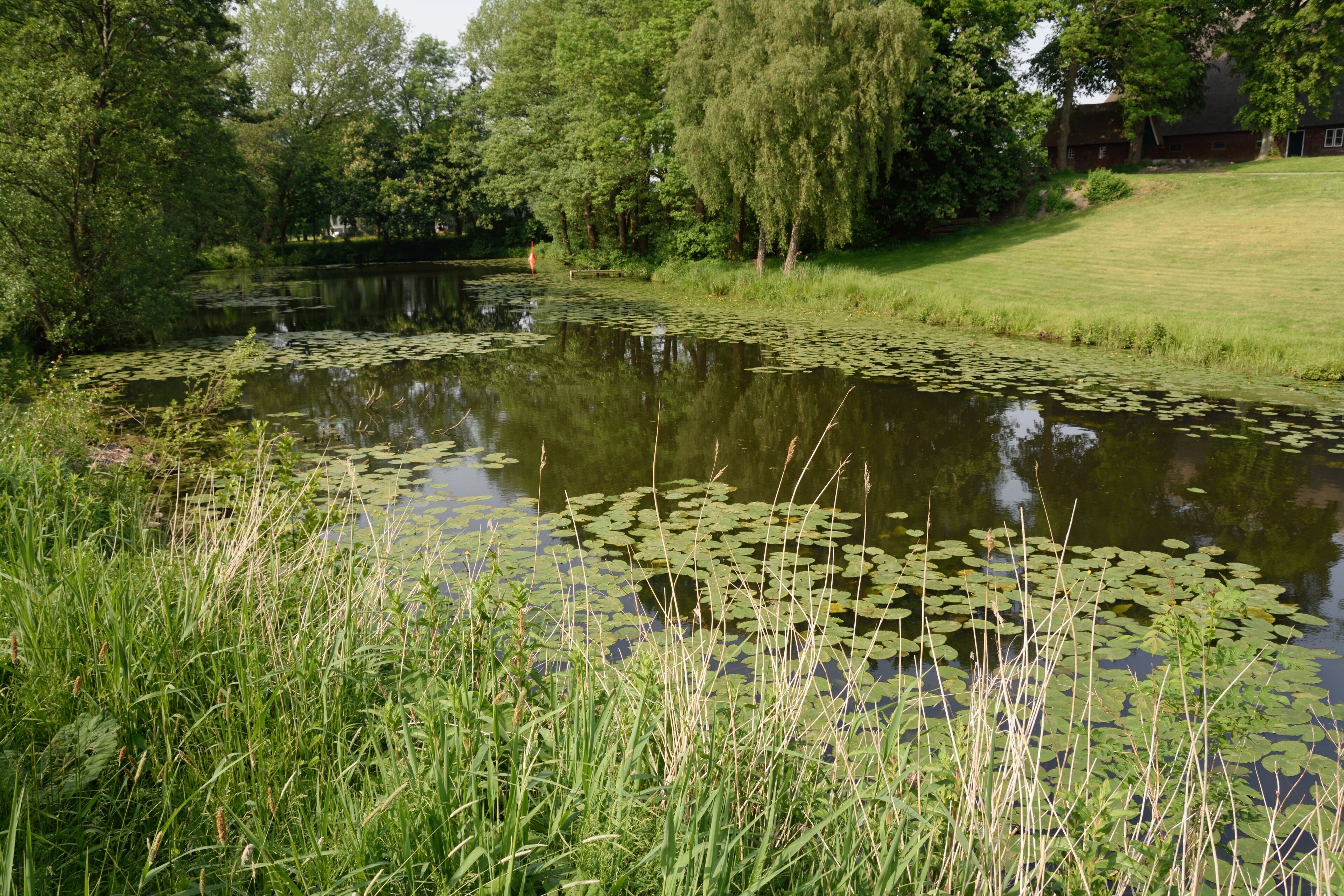 This image was uploaded as part of Wiki Loves Earth 2014.