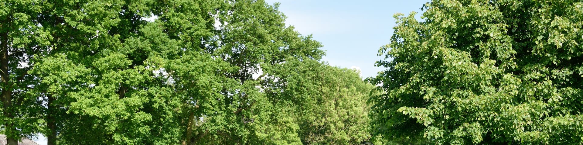 This image was uploaded as part of Wiki Loves Earth 2014.