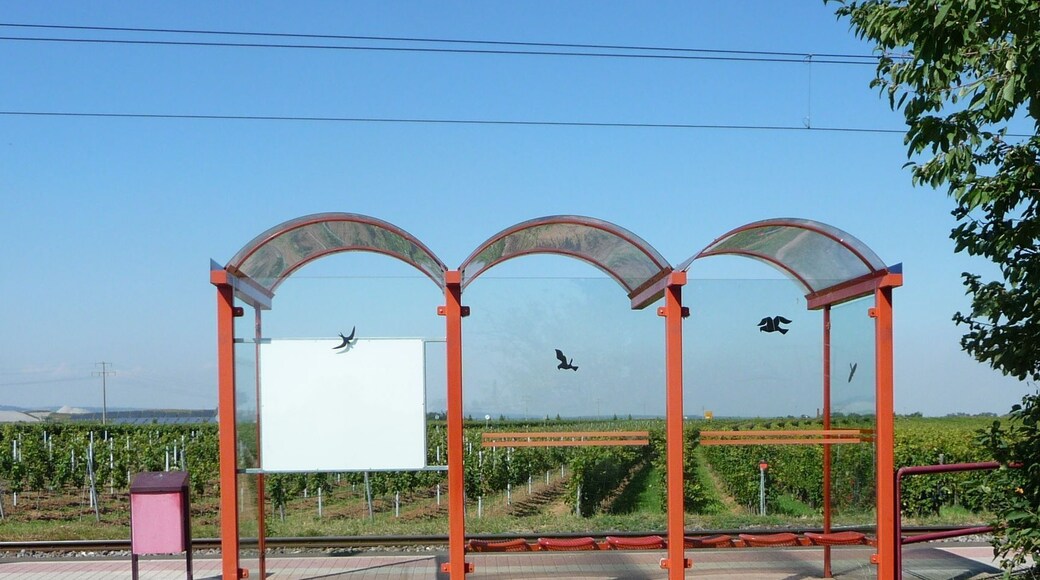 Wartesaal der Rhein-Haardtbahn (RHB)