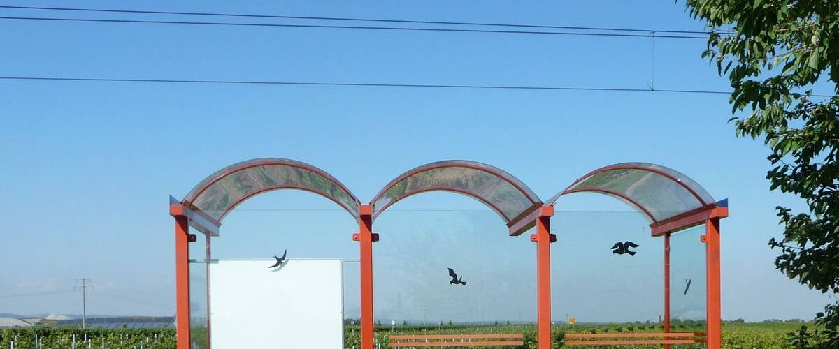 A glass shelter with a blank signboard, surrounded by a grassy area and a vineyard.