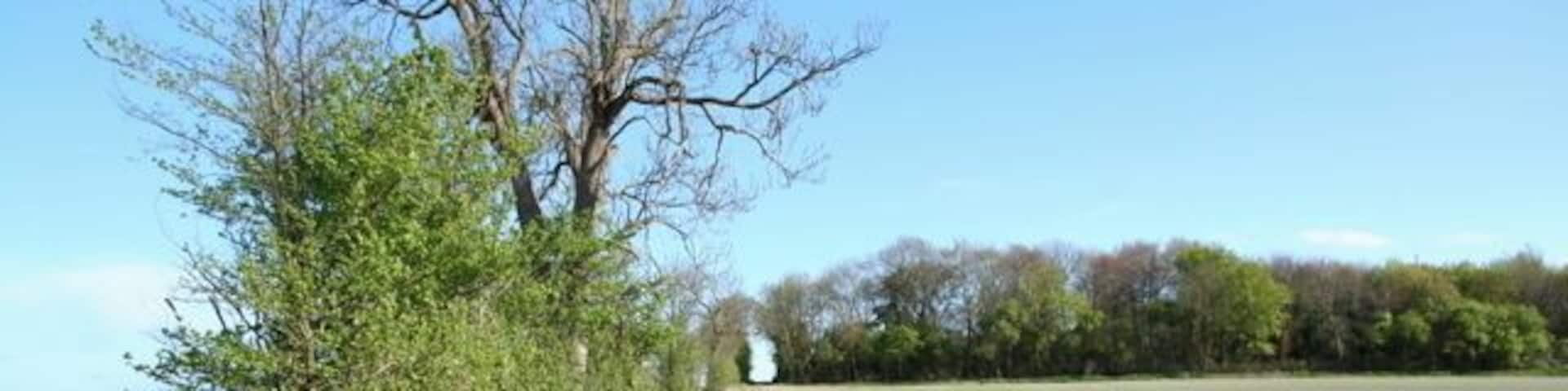 Track leading up to The Obelisk The obelisk commemorates the notable local family Wale.