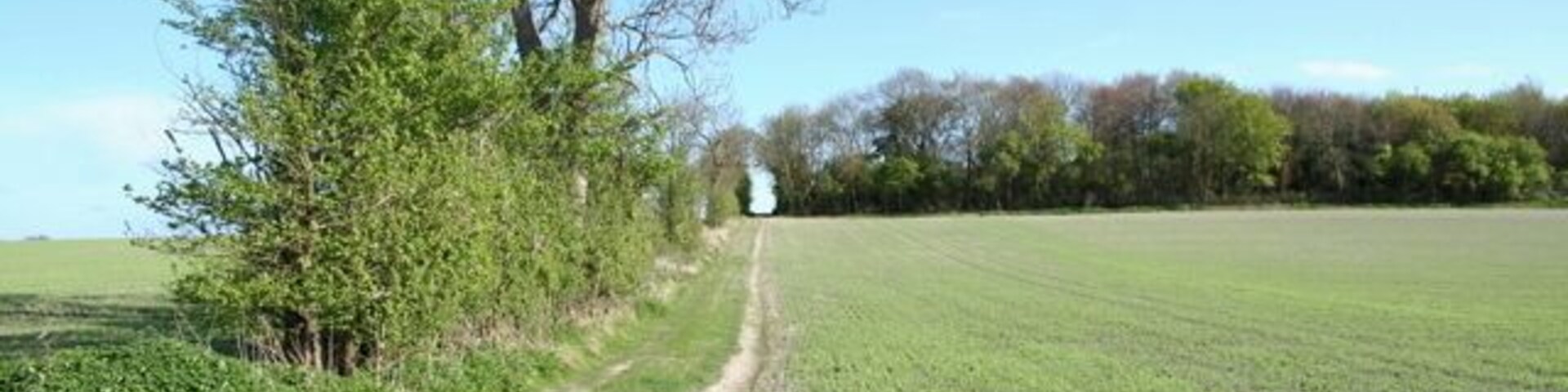 Track leading up to The Obelisk The obelisk commemorates the notable local family Wale.