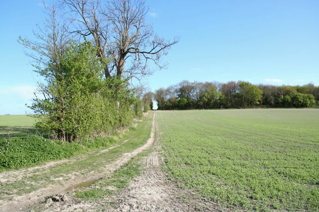 A dirt path leading through a green field with trees on one side and a fence on the other.