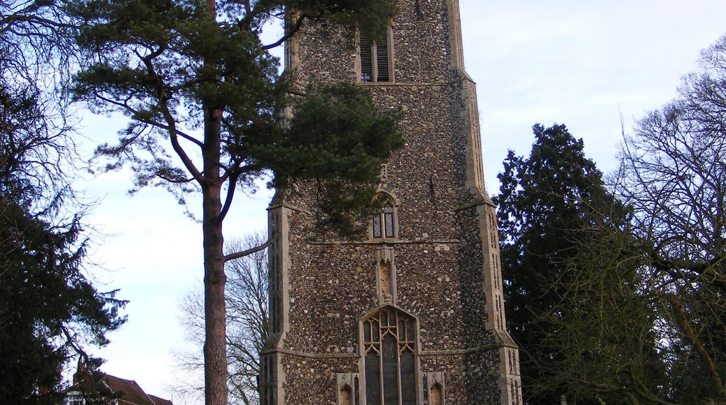 St.Mary's Church, Earl Soham http://www.stedmundsbury.anglican.org/ashfield/Photos/Earl_Soham_church.htm