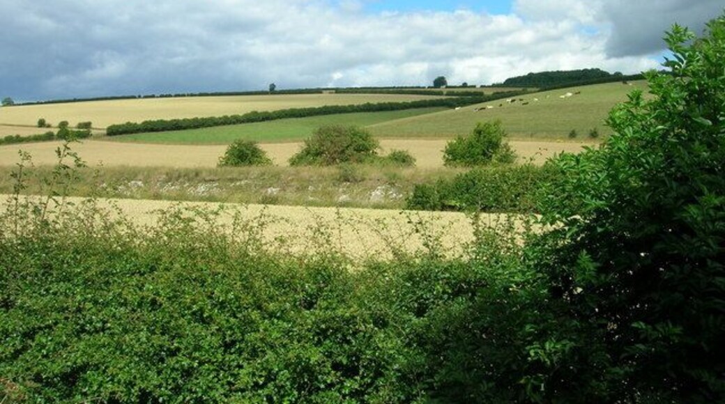 Disused Railway Embankment, Fimber, East Riding of Yorkshire, England.
