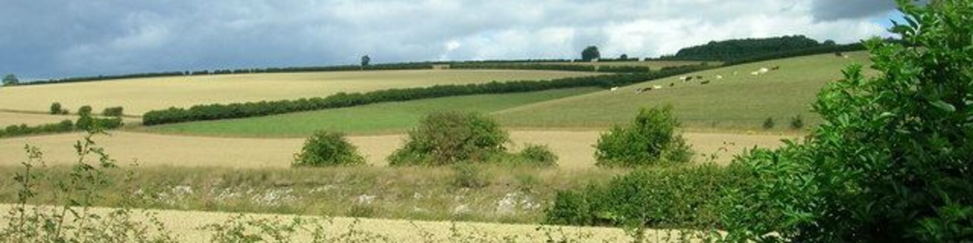 Disused Railway Embankment, Fimber, East Riding of Yorkshire, England.
