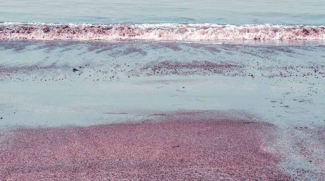 Dark Sand Beach, Dahanu, Coastal Road, Gujarat and Maharashtra
