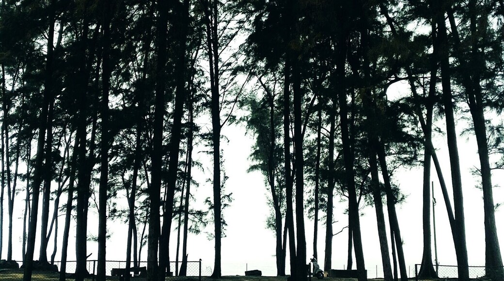 Entrance to a pretty beach.