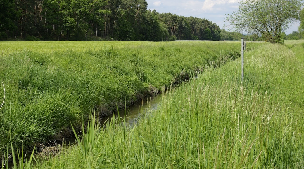 Die in diesem Bereich begradigte Seebach westlich der Schleuse Erlangen in der Gemeinde Möhrendorf.
