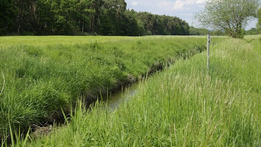 Die in diesem Bereich begradigte Seebach westlich der Schleuse Erlangen in der Gemeinde Möhrendorf.