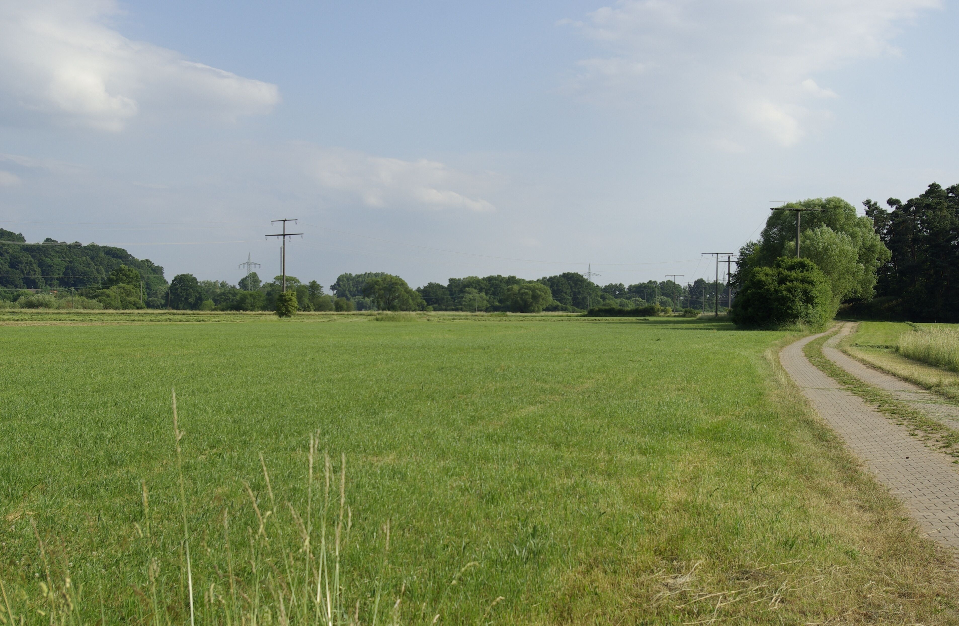 Das Regnitztal zwischen Möhrendorf und Erlangen.