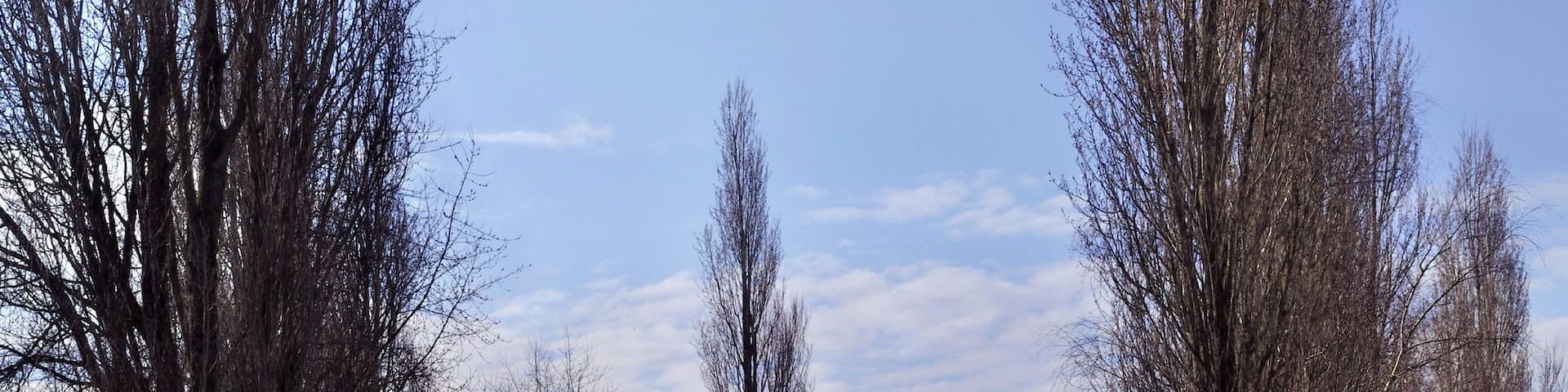 Linazay, la mare du bourg en période de crue du Sillon