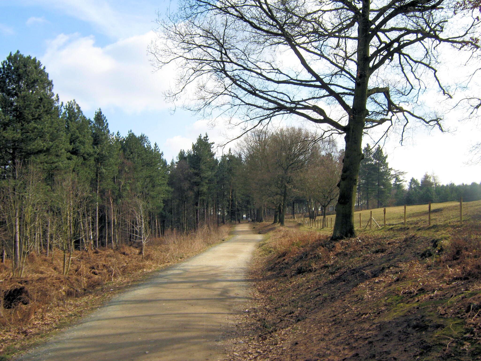 Track to the Linmere Visitor Centre. This track follows the edge of Delamere Forest and takes you from the 1177061 to the 1746295 at Linmere Lodge.