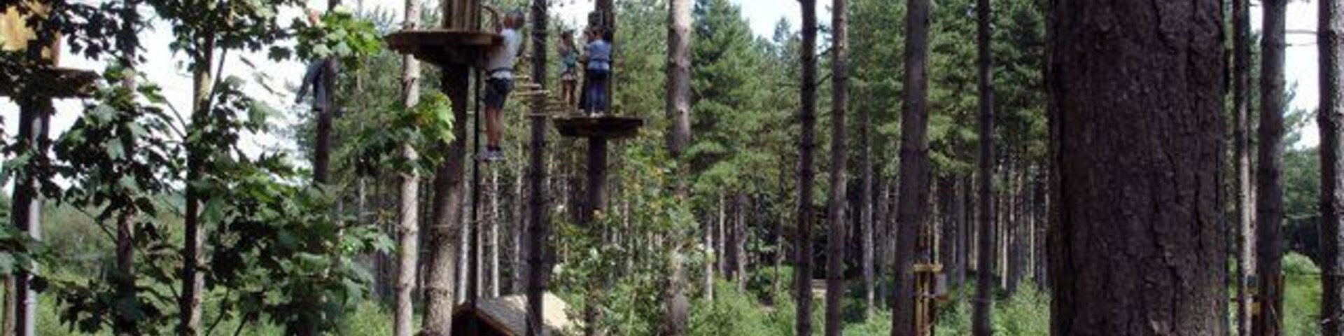 Delamere, "Go Ape" in Delamere Forest. New attraction for all ages located near the Linmere Visitor Centre in Delamere Forest. Aerial walkways and ropeways.