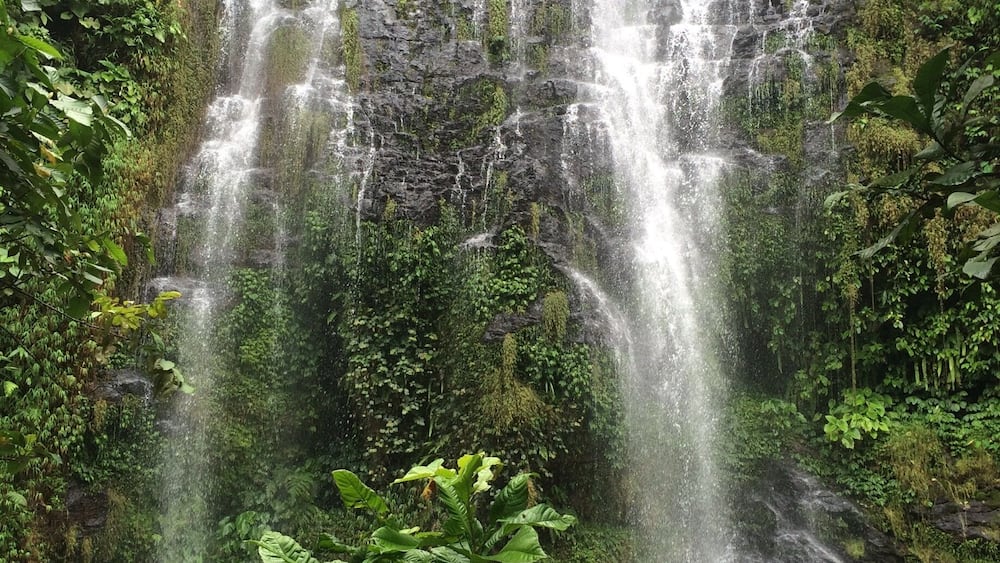Maung Waterfall
One of the beautiful waterfall in Southern Sumatera, u need 30 mins trekking down a steep cliff. It located 8 hours from Palembang by car.