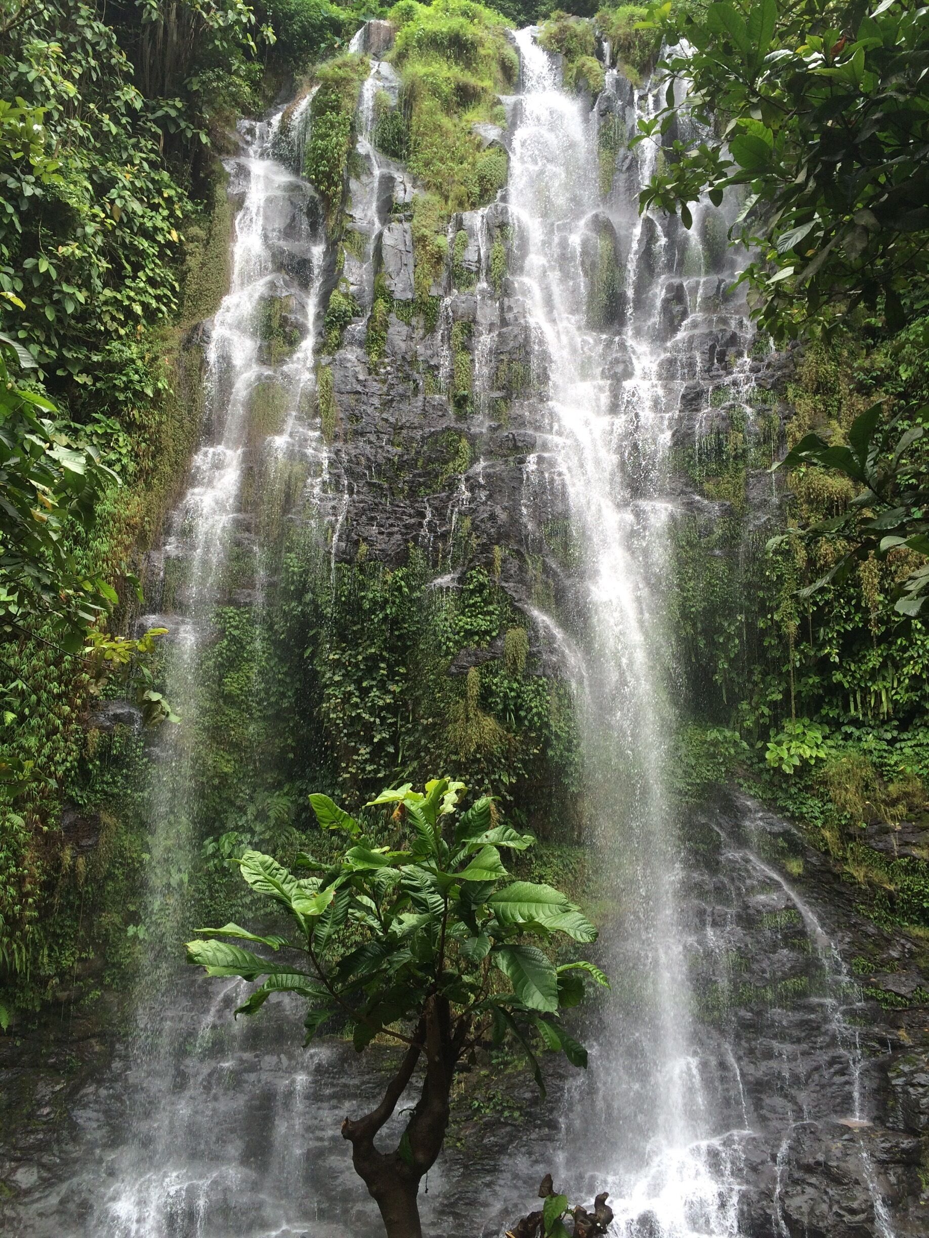 A multi-tiered waterfall surrounded by lush greenery.