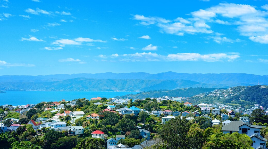 Panoramic view over Wellington Harbour, Mt Victoria and red roofed houses of suburbian Wellington, New Zealand.
