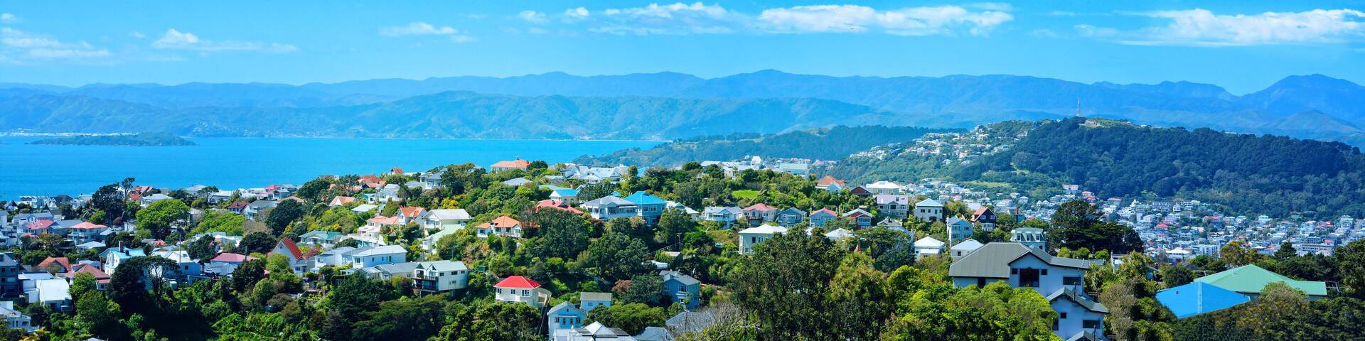 Panoramic view over Wellington Harbour, Mt Victoria and red roofed houses of suburbian Wellington, New Zealand.
