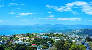 Panoramic view over Wellington Harbour, Mt Victoria and red roofed houses of suburbian Wellington, New Zealand.