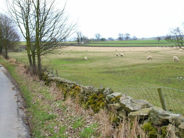 Field near Hutton Hang, Constable Burton.