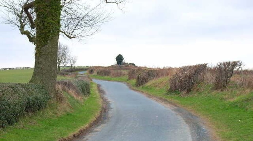 Road between Low Hutton and Hutton Hill, near Finghall.
